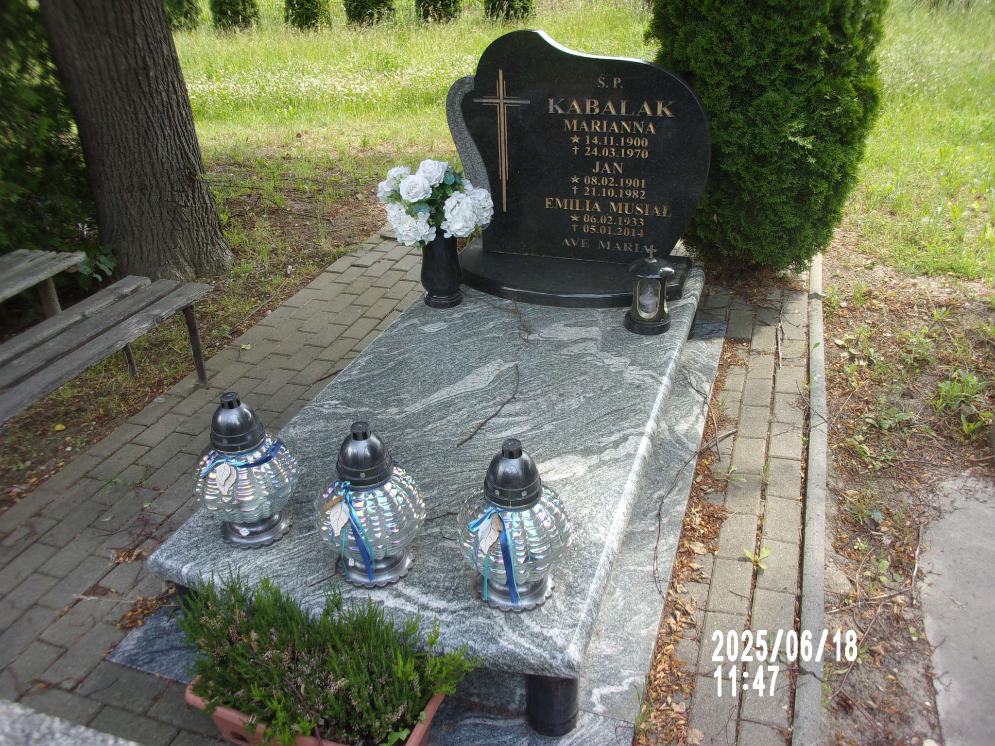 Emilia Musiał 1933 Zgorzelec - Grobonet - Wyszukiwarka osób pochowanych