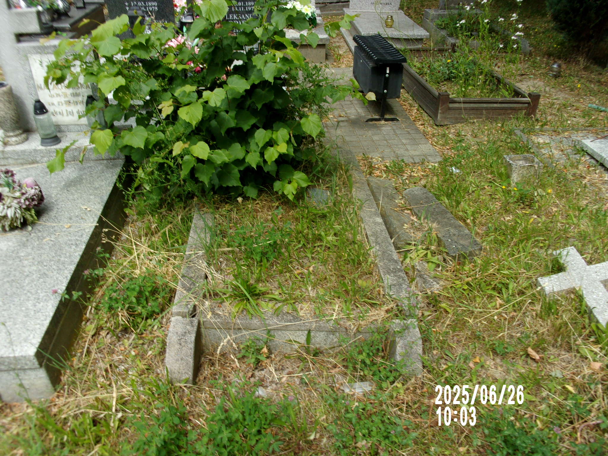 Paweł Bobrow 1901 Zgorzelec - Grobonet - Wyszukiwarka osób pochowanych